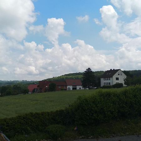 Sonnige Ferienwohnung Am Sternberg Extertal Екстер'єр фото