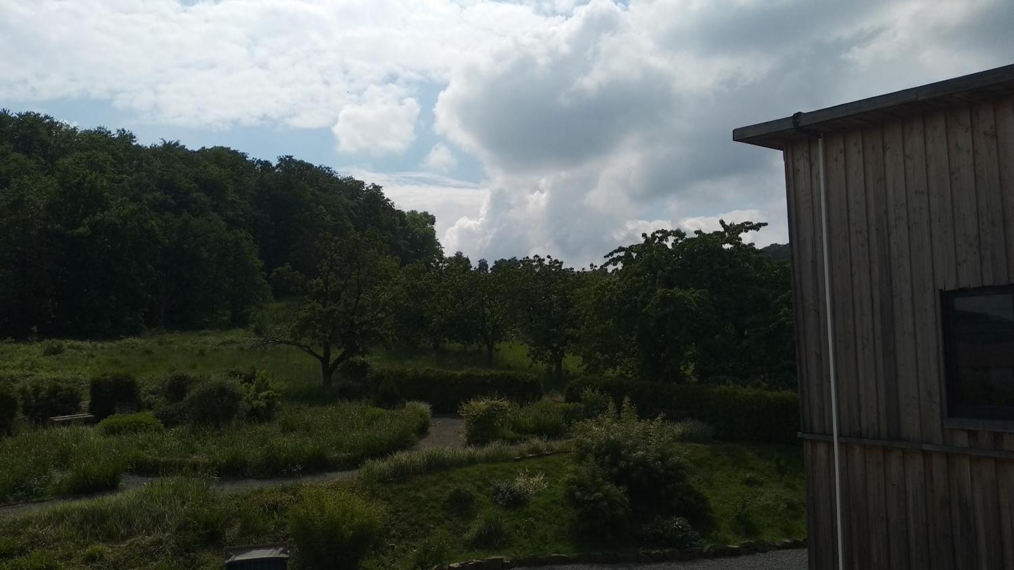 Sonnige Ferienwohnung Am Sternberg Extertal Екстер'єр фото